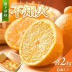 みかん 不知火 約2kg