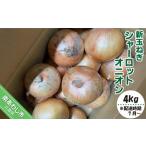 ふるさと納税 新玉ねぎ予約 シャーロットオニオン 4kg ◆配送 7月上旬〜9月末 兵庫県南あわじ市