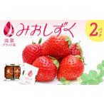 ふるさと納税 いちご （みおしずく） １箱（２パック入り） 株式会社東近江あぐりステーション 滋賀県 東近江市 O-F03 いちご イチゴ みおしず.. 滋賀県東近江市