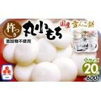 ふるさと納税 雪んこ餅 杵つき 丸小もち  600g（ 30g × 20個 ) 小さいサイズ 国産 【雑煮 ぜんざい   添加物不使用 少量 】 [e26-a010] 福井県越前町