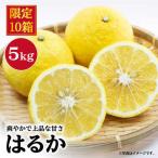 はるか みかん 5kg