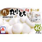 雪んこ餅 杵つき 丸小もち 1.2kg