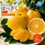 和歌山 はっさく 約5kg
