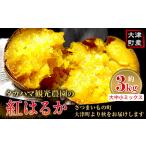 タカハマ観光農園の紅はるか 約3kg
