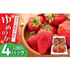 いちご ゆめのか 4P イチゴ 苺 果物 くだもの