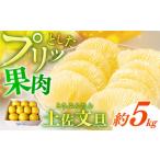 よりすぐりの土佐文旦 約5kg