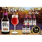 安房麦酒 ブルーベリーエール5本 発泡酒 330ml×5本