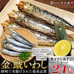 いわしの丸干し 24尾