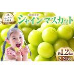 ふるさと納税 2026年発送 シャインマスカット 約1.2kg [20742921] 山梨県韮崎市