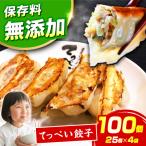 てっぺい餃子 100個