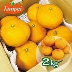 訳あり 甘平 約2kg