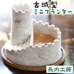 多肉植物用 ミニプランター 古城 多肉植物