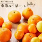 季節の柑橘セット約5kg