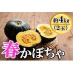 fu.... налог предшествующий прием [2026 год 5 месяц отправка ].. блок производство [ весна тыква ]2 шар ( примерно 4kg) Кагосима префектура .. блок 