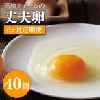 平飼いたまご 定期便 40個