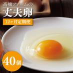 平飼いたまご 定期便 40個