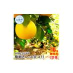 ふるさと納税 【先行予約】高知県土佐市産 楠瀬さんの土佐文旦 贈答用大玉 約10kg 期間限定 高知 土佐 文旦 ぶんたん ブンタン 柑橘 みかん 果物.. 高知県土佐市