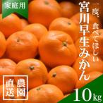 ふるさと納税 【先行受付】和歌山産 家庭用 宮川早生みかん 約10kg 2S〜2Lサイズ【訳ありみかん】【配送不可地域:離島・北海道・沖縄県】.. 和歌山県日高町
