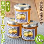 isa549 手作りはちみつ入り日向夏マーマレード 計6個