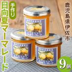 isa550 手作りはちみつ入り日向夏マーマレード 計9個