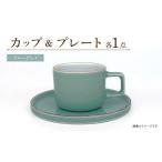 カラーシリーズ カップ&プレート セット