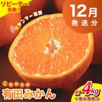 厳選 極早生有田みかん4kg+120g