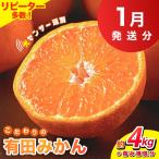 光センサー選別 こだわりの有田みかん 約4kg+250g