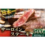 サーロイン ステーキ 計500g