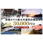 宿泊 旅館ホテル組合共通 補助券 30,000円分