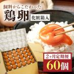 鶏卵60個 55個+補償5個 入り化粧箱