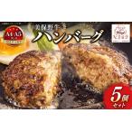ハンバーグ 冷凍 黒毛和牛 美保野牛 和牛ハンバーグ 5個