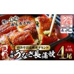 一色産うなぎ 無頭 長蒲焼4尾 640g