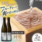 日本酒 純米大吟醸 鵜洲 720ml×2