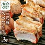 SA2001 日本の米育ち 三元豚 スペアリブ 485g×3パック