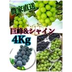 巨峰&シャインマスカットMIX 約4キロ