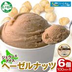 くりーむ童話 カップアイス ヘーゼルナッツ 100ml×6個