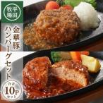 SC0509 日本の米育ち 金華豚 ハンバーグ2種セット 計10個