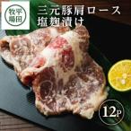 SC0510 日本の米育ち 三元豚 肩ロース塩麹漬け 100g×12パッ…