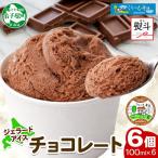 無地熨斗 くりーむ童話 カップアイス チョコレート 100ml×6…