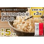 新之助 玄米5kg 5kg×1袋