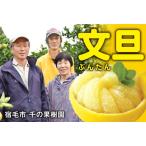 千の果樹園 土佐文旦 4.5kg