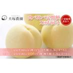 ふるさと納税 桃 2025年 先行予約 ご家庭用 訳あり 食べ比べ 定期便 1.3kg 4〜6玉×2回 お届け 岡山県 人気 新鮮 フルーツ 桃 フルーツ もも.. 岡山県里庄町