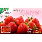 いちご とちあいか不揃い粒 2kg