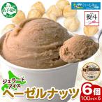 無地熨斗 くりーむ童話 カップアイス ヘーゼルナッツ 100ml…