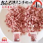 牛肉 和牛 九州産和牛 あらびき GOKUARAミンチ