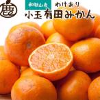 有田みかん 小玉 2.5kg+250g 傷み補償分