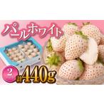 パールホワイトいちご約220g×2P