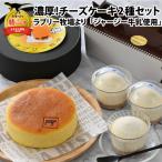 チーズケーキ ジャージー牛乳 2種セット