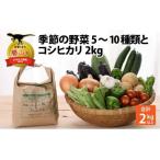 季節の野菜5~10種類と令和6年産 コシヒカリ2kg