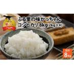 令和6年産 コシヒカリ8kg 2kg×4